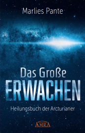 DAS GROSSE ERWACHEN [Botschaften und Arbeitsbuch]